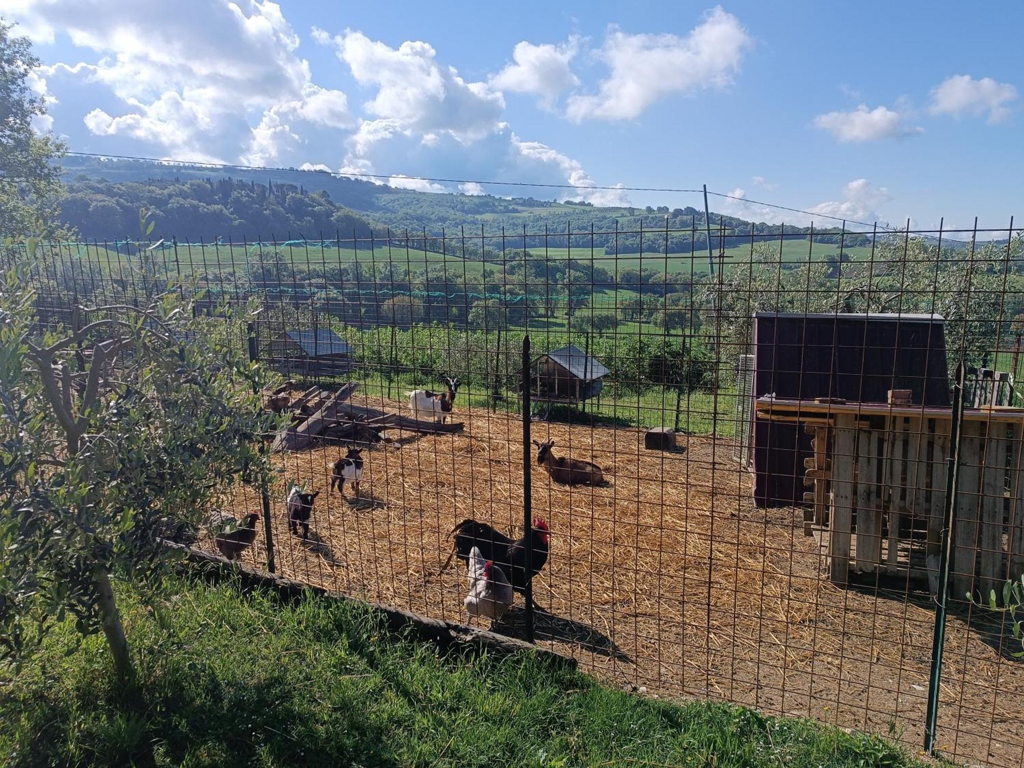 La Piccola Fattoria Villa Todi Dış mekan fotoğraf