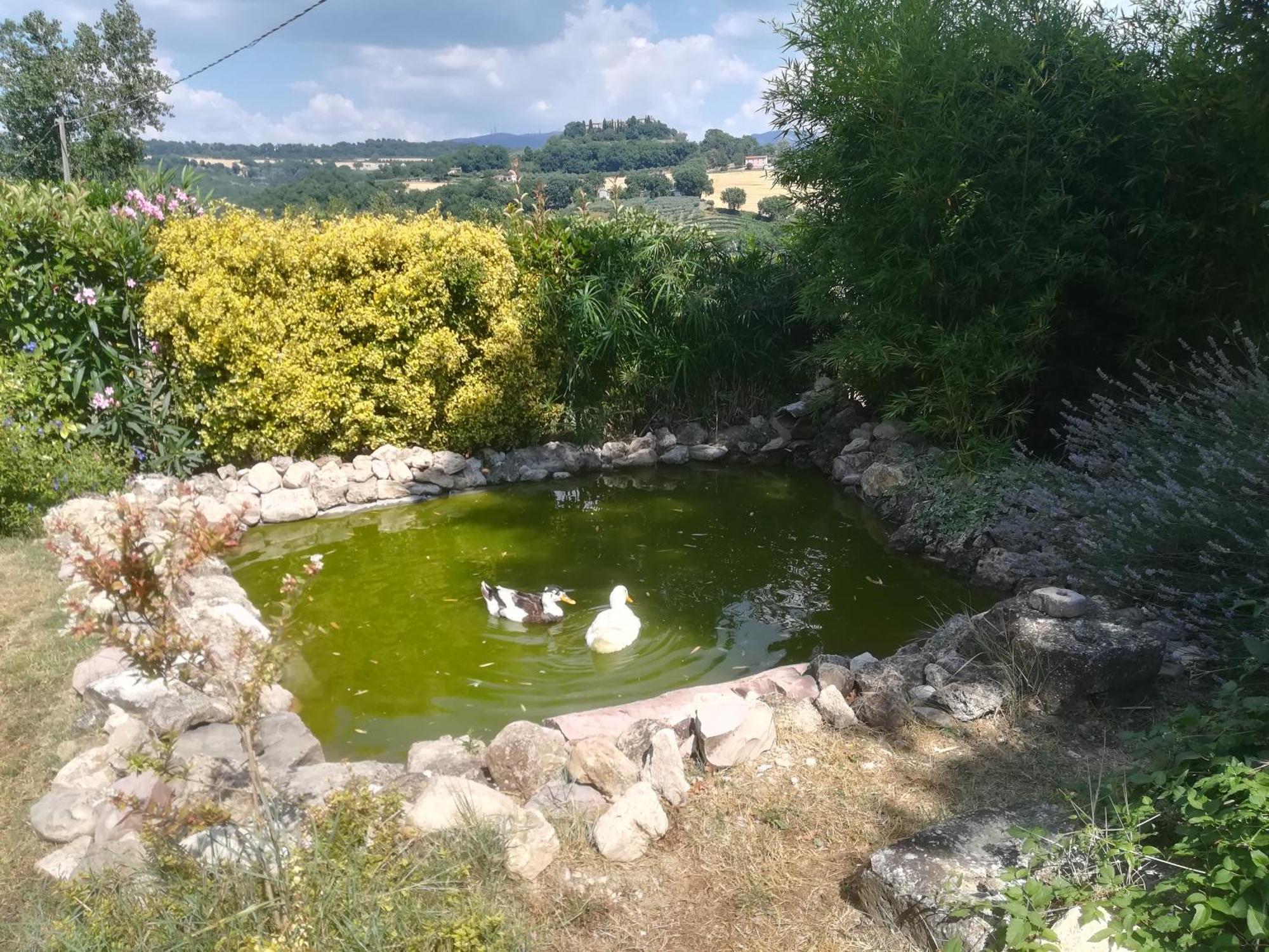 La Piccola Fattoria Villa Todi Dış mekan fotoğraf