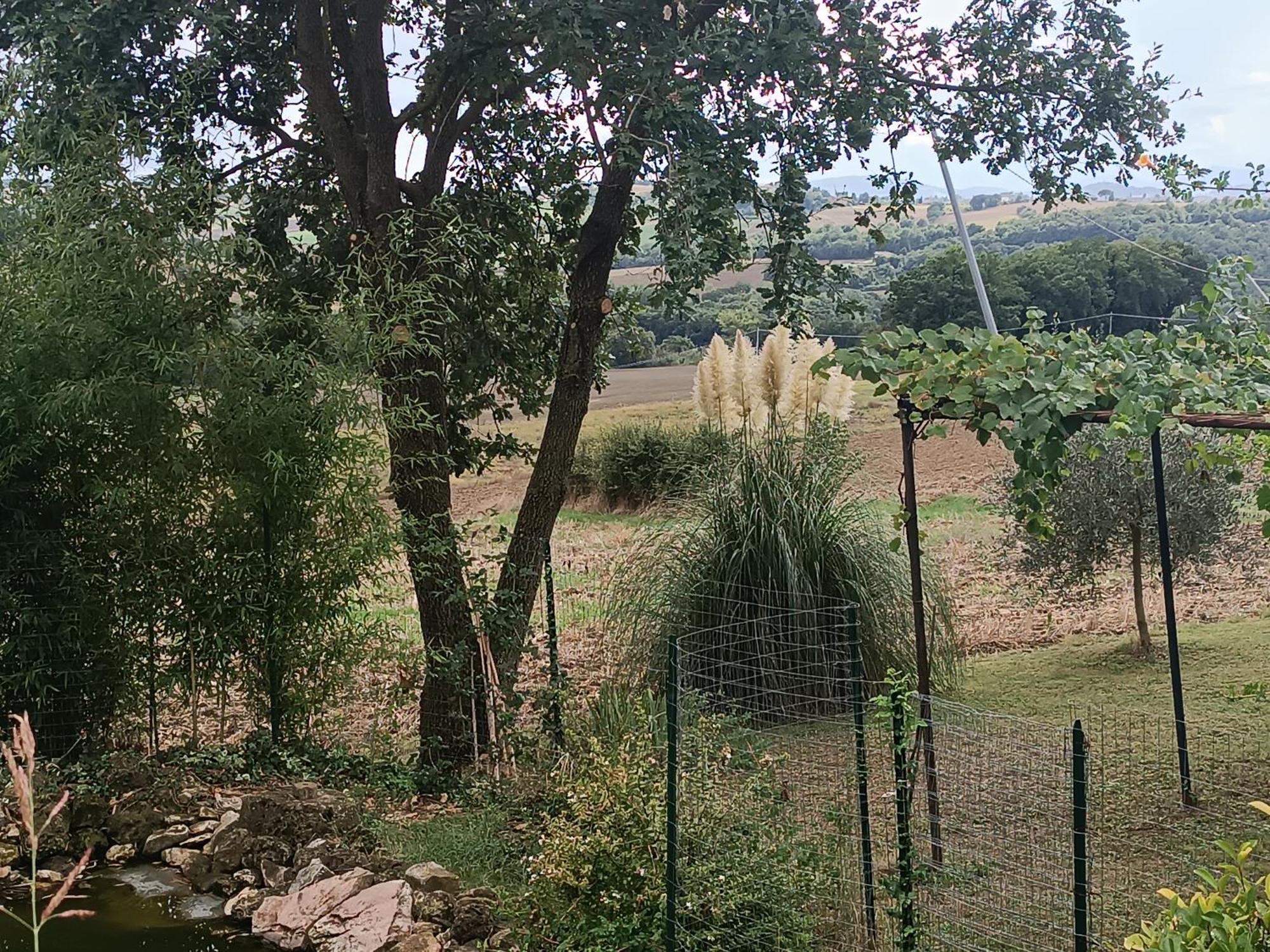 La Piccola Fattoria Villa Todi Dış mekan fotoğraf